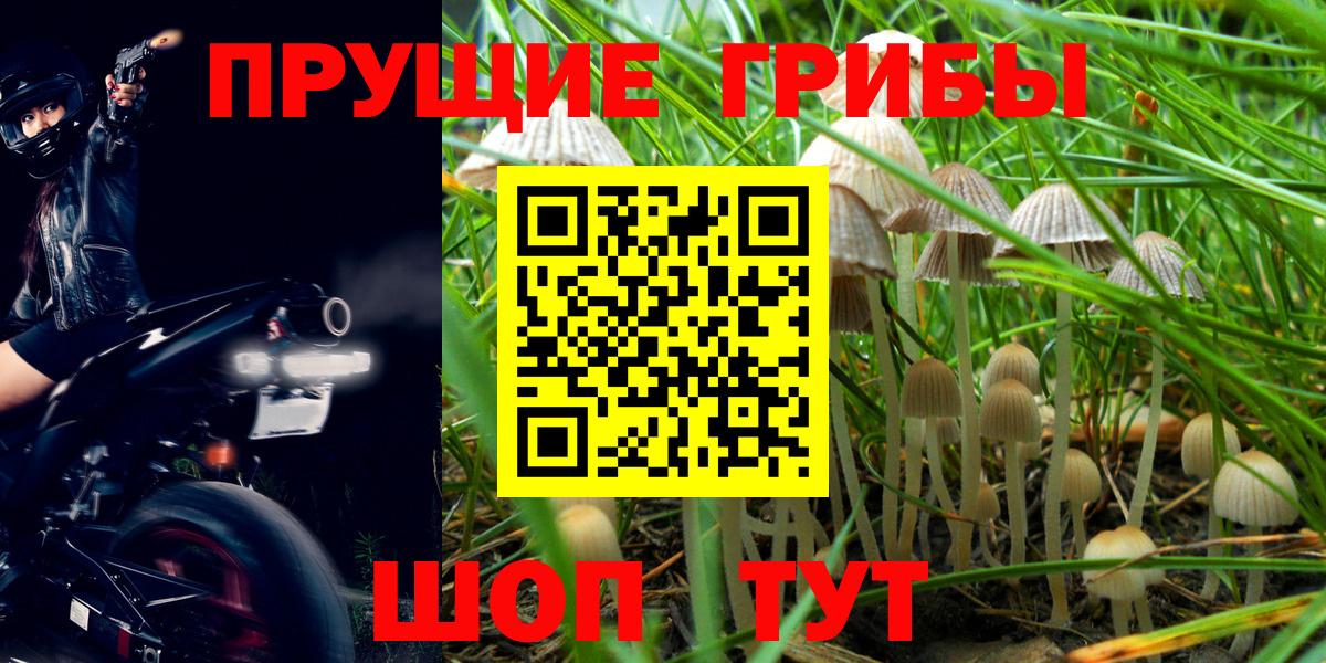 Галлюциногенные грибы мухоморы Крымск