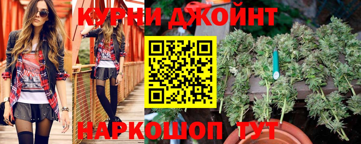 Канабис планчик Крымск